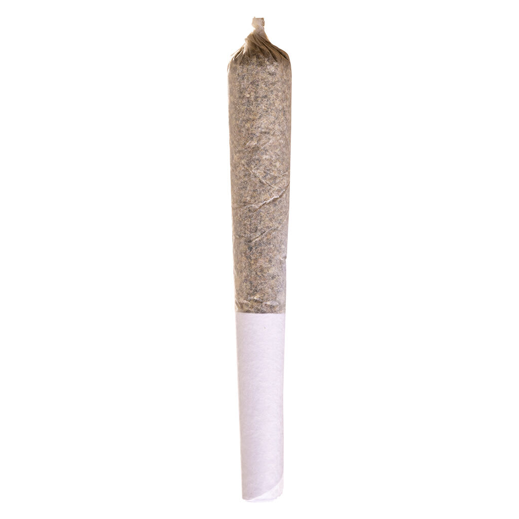 Station House - Blue Dream Express Infused Pre-Roll - Blue Dream Express Infused Pre-Roll 1x0.5g Isolates